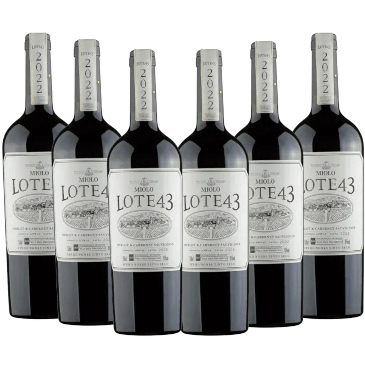 Kit 6 gfas Vinho Miolo Lote 43 Na caixa madeira Personalizada