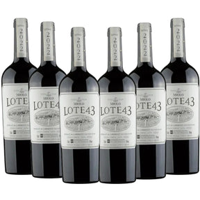 Kit 6 gfas Vinho Miolo Lote 43 Na caixa madeira Personalizada